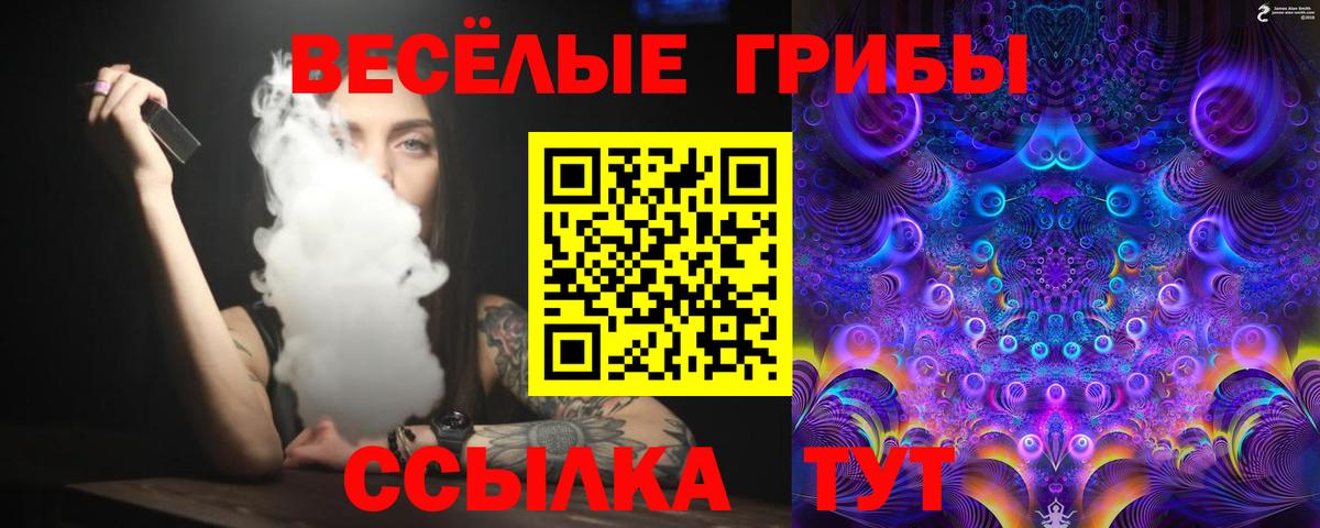 Псилоцибиновые грибы GOLDEN TEACHER Сунжа